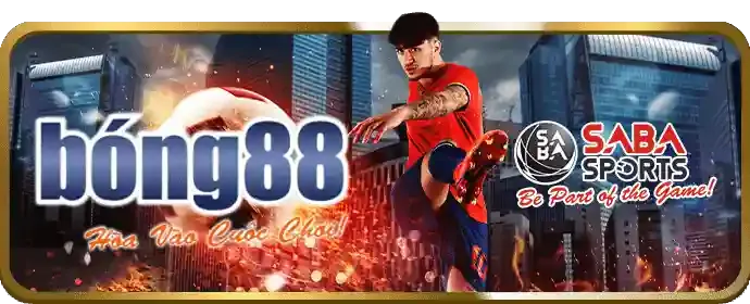 Bắt đầu cá cược và rút tiền